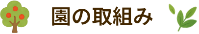 園の取組み